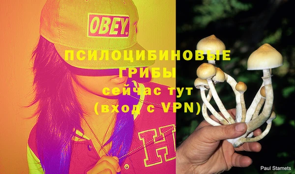 spice Алзамай